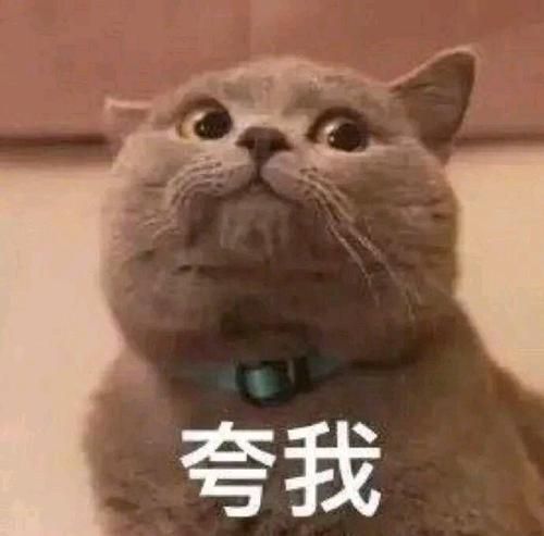 微信聊天记录删了还能查出来吗(微信聊天记录意外删除不要慌) 微信聊天记录意外删除不要慌,教你正确找回聊天记录