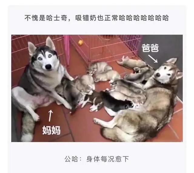 查老婆和别人的微信聊天记录关键词(查对象聊天记录) 查对象聊天记录,搜索什么关键字最有可能出事?