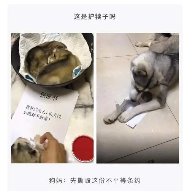 查老婆和别人的微信聊天记录关键词(查对象聊天记录) 查对象聊天记录,搜索什么关键字最有可能出事?
