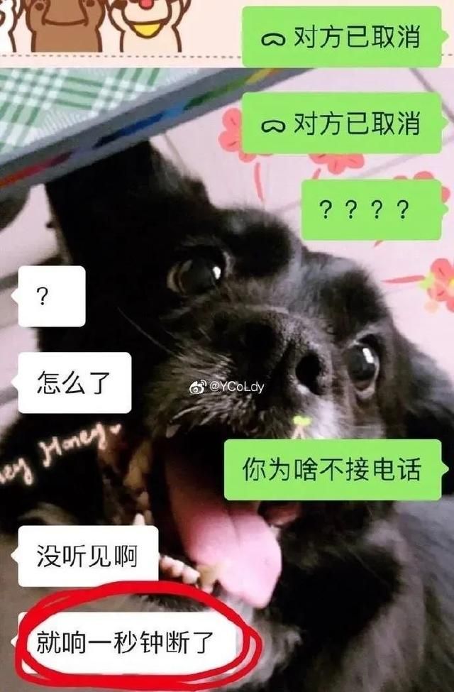微信对方忙线中(给对象打语音对方忙线中) 给对象打语音“对方忙线中,怎么不接电话?”他们会有什么反应