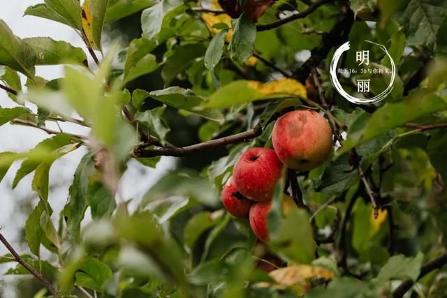 发现老婆出轨了怎么处理第三者(婚姻里遇到第三者不要慌) 婚姻里遇到第三者不要慌,维情婚姻咨询师教原配妻子分离第三者